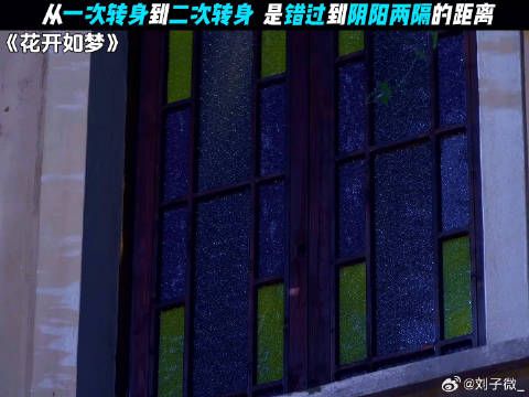 勇敢一点，不要转身 伦理 董洁 #家庭