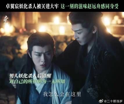 他懂他，懂“万般皆是命，半点不由人”的苦涩