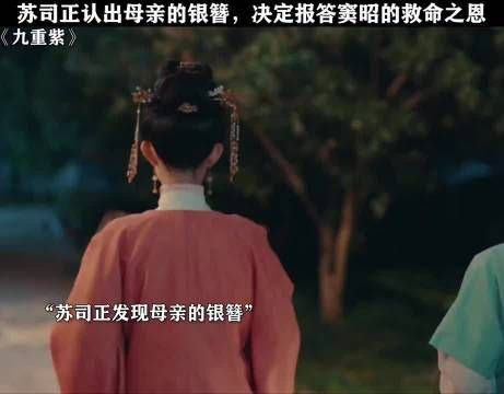 苏司正认出母亲的银簪，决定报答窦昭的救命之恩！