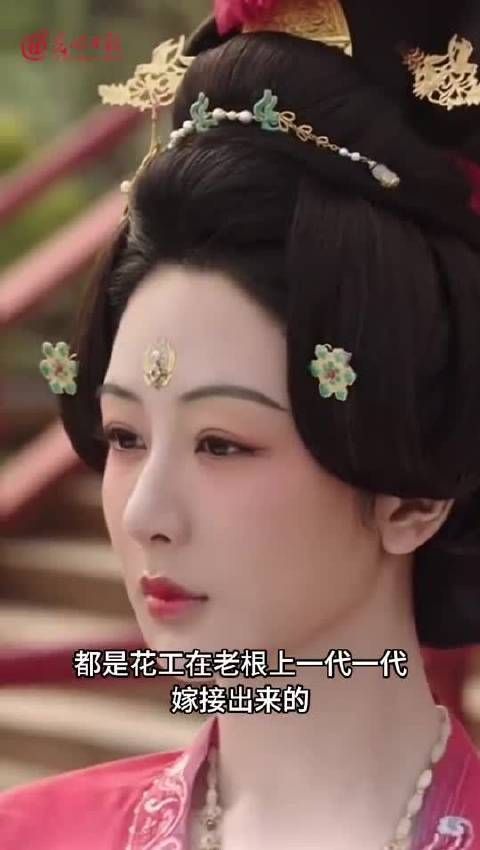 大抵洛人家家有花，而少大树者，盖其不接则不佳