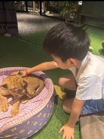 陈妍希9岁儿子侧颜神似妈妈