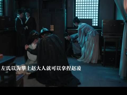 左氏攀上赵大人后威胁赵凌 花开锦绣