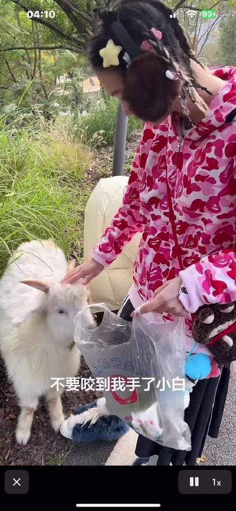 小动物都好可爱，小动物都是这个世界的小天使