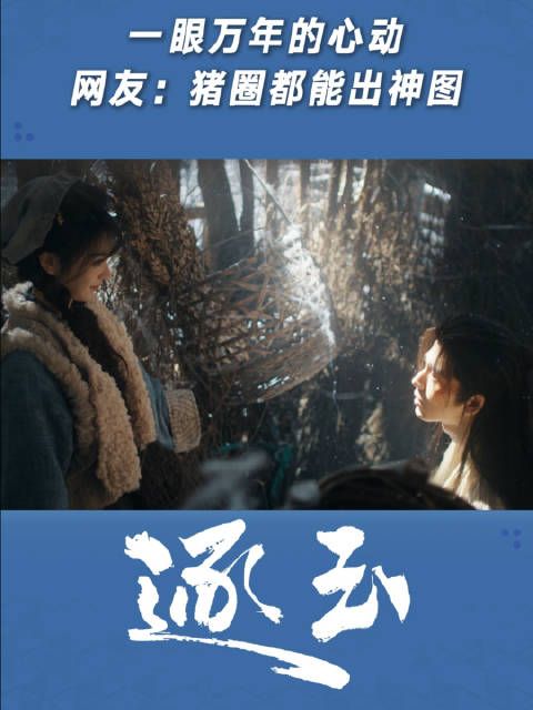 一眼万年的心动，网友：猪圈都能出神图