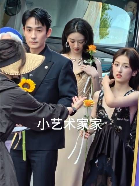 夹缝中的美丽杨紫