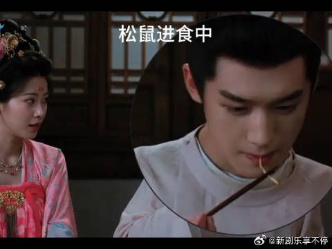 小沈大人你俩磕死我了