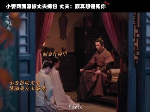 鲁姨娘（柔弱人设翻车版 ）