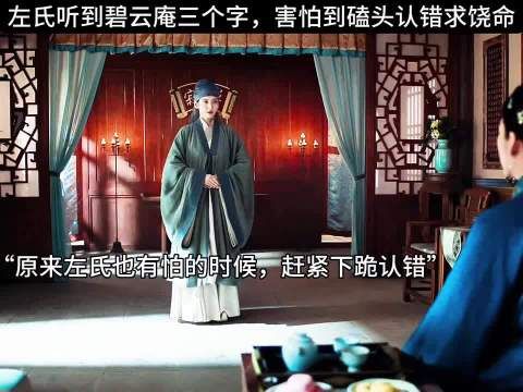 左氏听到碧云庵三个字，害怕到磕头认错求饶命