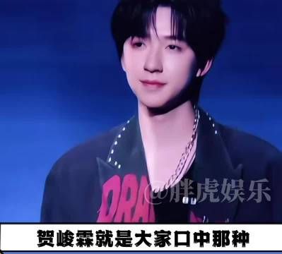 贺峻霖做什么都能闪闪发光，干什么都会成功！