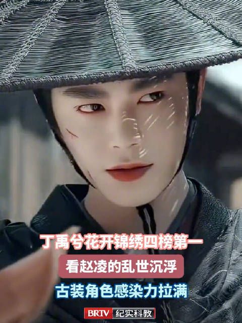 丁禹兮主演花开锦绣四榜登顶第一