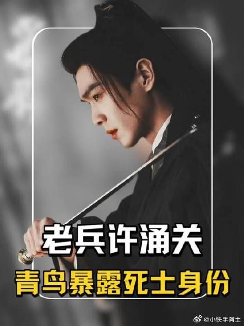 老兵许涌关，死士青鸟，林探花刺杀徐凤年