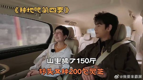 山里摘了150斤，转头又种200包灵芝
