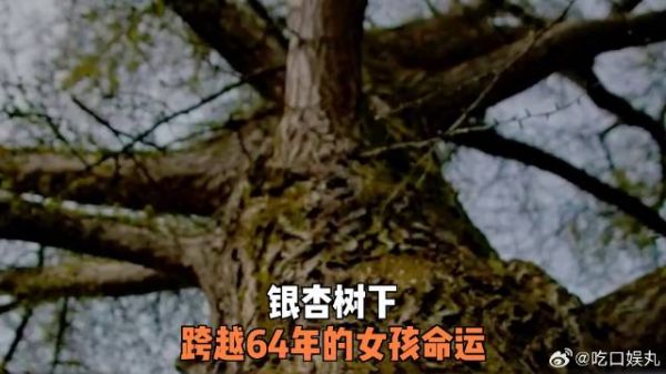 银杏树下，跨越64年的女孩命运
