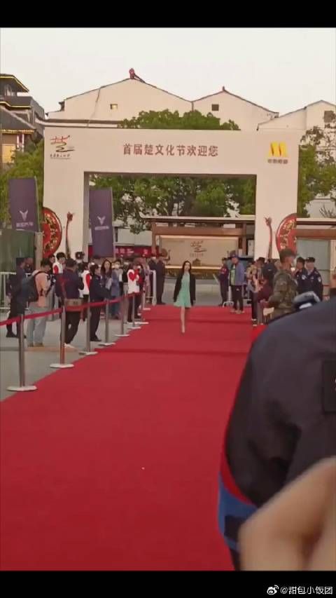 陈都灵走红毯，看起来很紧张啊