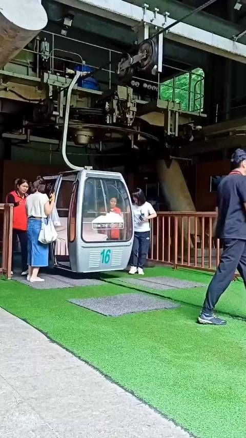 这种就不要出去玩了