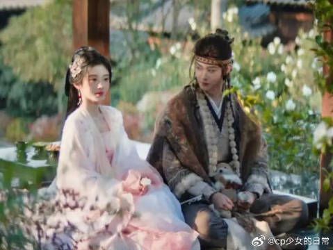 露芜衣，回溯那么多次你也很疼吧？