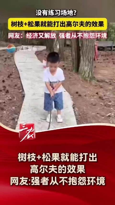 树枝松果打出高尔夫效果,经济又解放,强者不抱怨环境