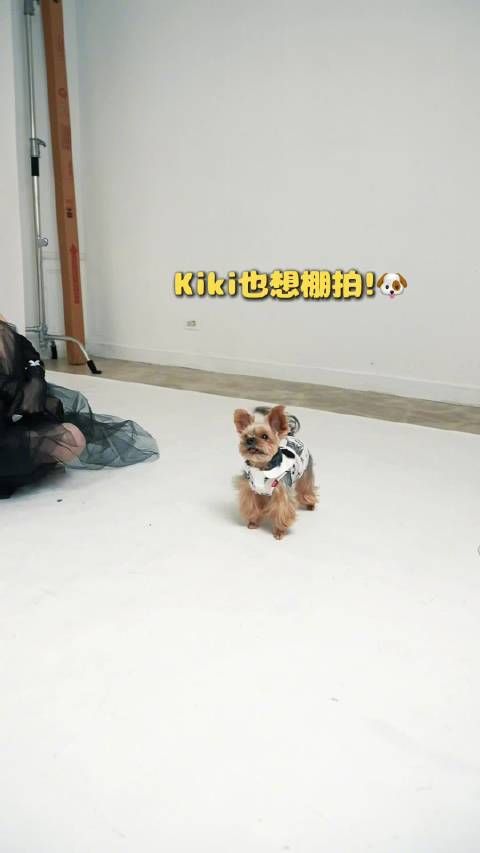 妈妈自拍互动Kikilala，打哈欠逗趣日常