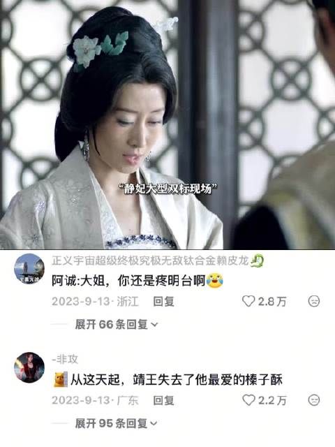 静妃：我力弱，帮不了你什么 琅琊榜 刘敏涛 王凯 胡歌