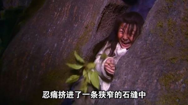 少年被人逼近石缝，因祸得福捡到失传百年的九阳真经