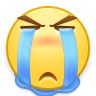 泪