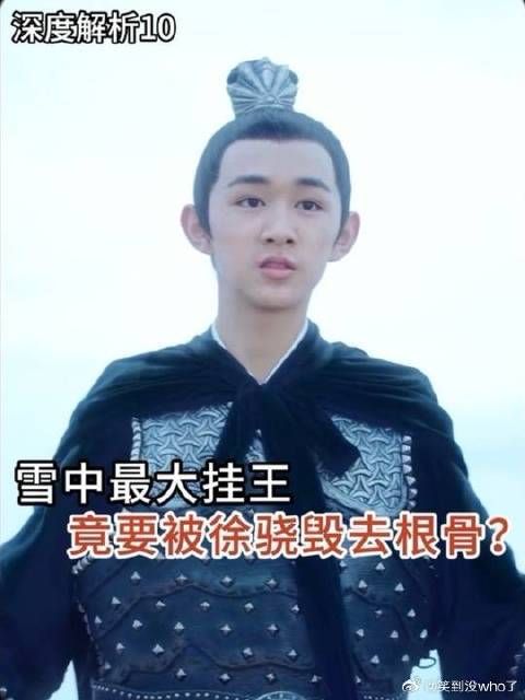 徐骁要毁去徐龙象天生神骨，徐凤年怒冲武当！