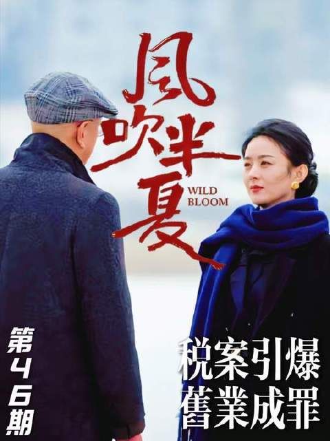 风吹半夏税案引爆,裘毕正偷税败露上市梦碎