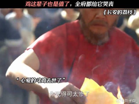 真是一场酣畅淋漓的葬礼啊 长安的荔枝 #岳云鹏