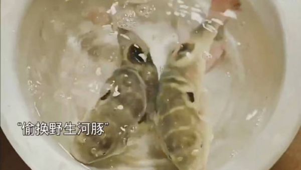 秦岚以身犯险诱敌中计，好姐妹合伙打退日本人