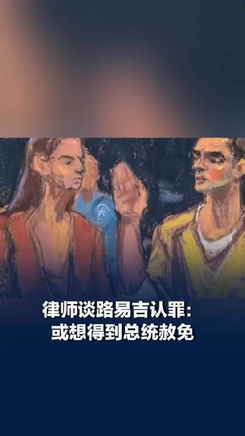 路易吉认罪或为得到总统赦免：认罪对他量刑非常有帮助