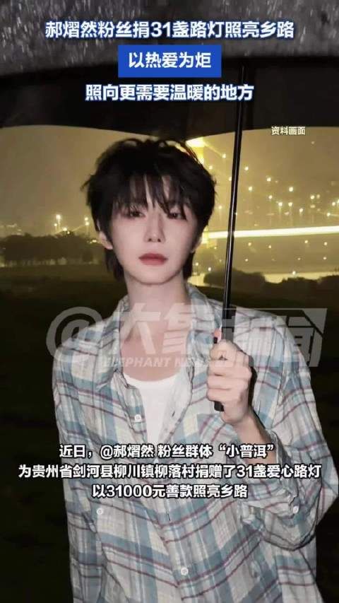 郝熠然粉丝捐31盏路灯照亮乡路