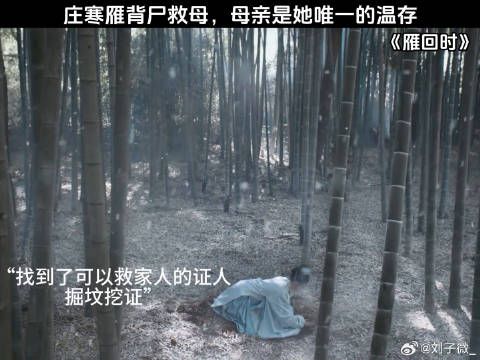 庄寒雁背尸救母，母亲是她唯一的温存 陈都灵
