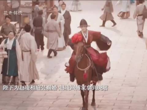 陛下为赵凌和庭芸赐婚，这次赵凌光明正大的迎娶庭芸