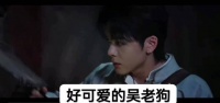 可爱的吴老狗