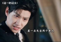 听完这段话李柏则回去得发烧三天