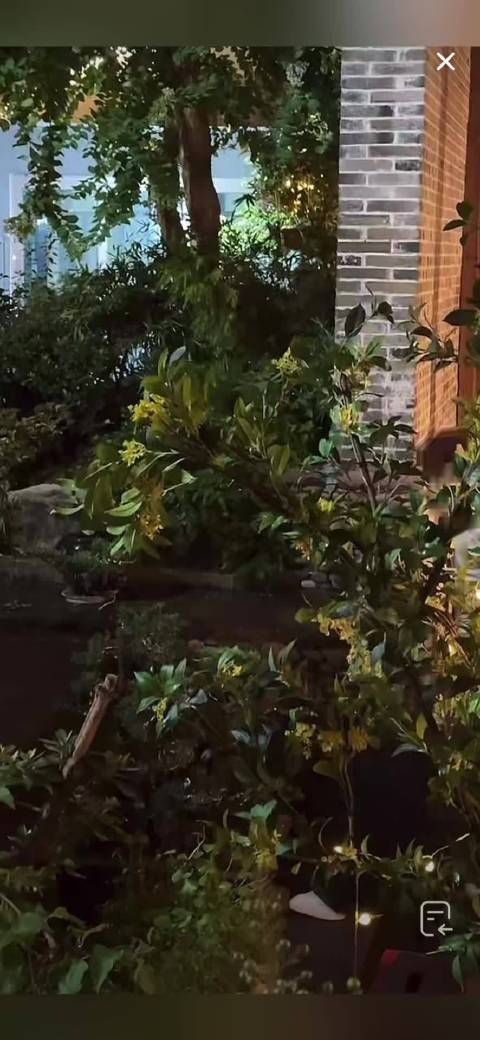 短剧边拍边直播，正剧包裹严实，黄宥天张楚萱新剧现场
