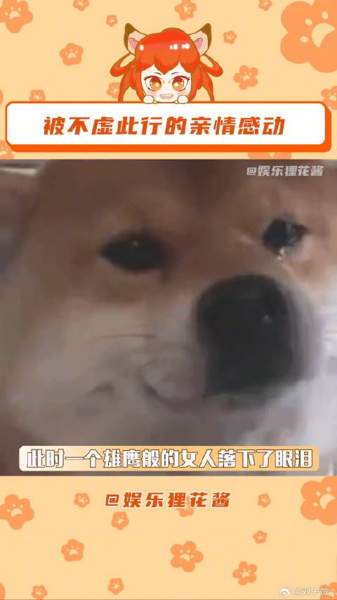 电影不虚此行
