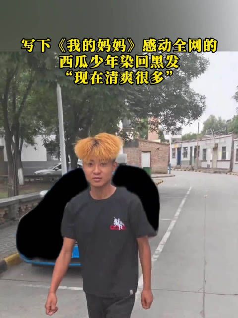 写下我的妈妈西瓜少年染回黑发
