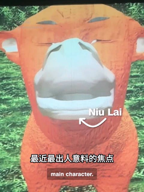 哈哈哈~~CNN也现场报道了中国现象级大爆的新闻了！甚至还有采访！