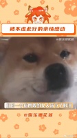 电影不虚此行