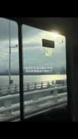 十五天是一场冗长的梦