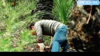 设陷阱反杀怪物却遭挣脱秒杀，幸存者如何逃生？
