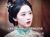 小情侣成亲遭到重重阻碍，父亲不同意俩人的婚事，吴小姐要嫁赵凌为妾