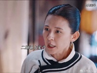 大顺走了二顺欺负韶华再也没人护着她了