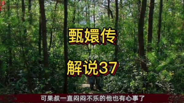 甄嬛与果郡王林间救下摩格，善举埋下祸根