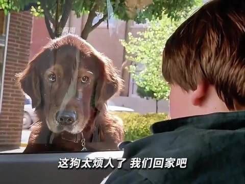 “我从未离开过 只是换种方式来爱你”