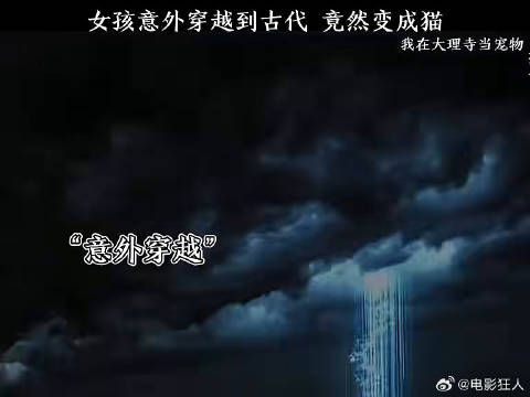 女孩意外穿越到古代竟变成一只猫我在大理寺当宠物