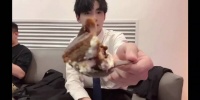 那年今日 谢谢小伞的投喂（嚼嚼嚼嚼……）