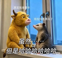 复盘来时路，《牛来》如何被推入公共视野？