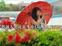 “韩国人真的很爱周冬雨”文佳煐 翻牌《后来的我们》